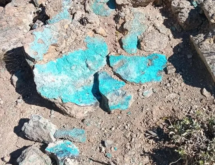  Mendoza: Detectan indicios de vanadio, uranio y cobre en Huemul